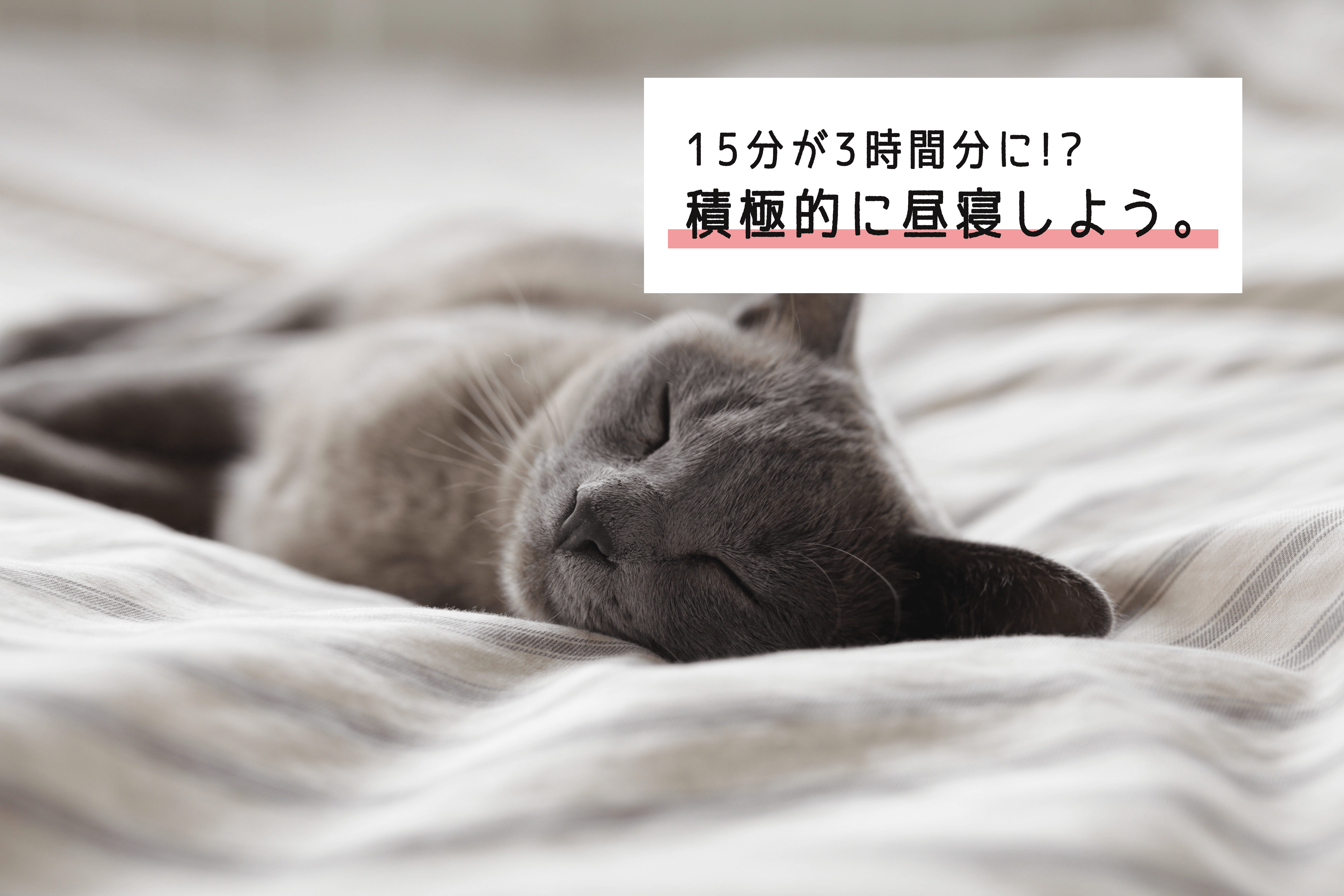 アイキャッチ　サムネイル