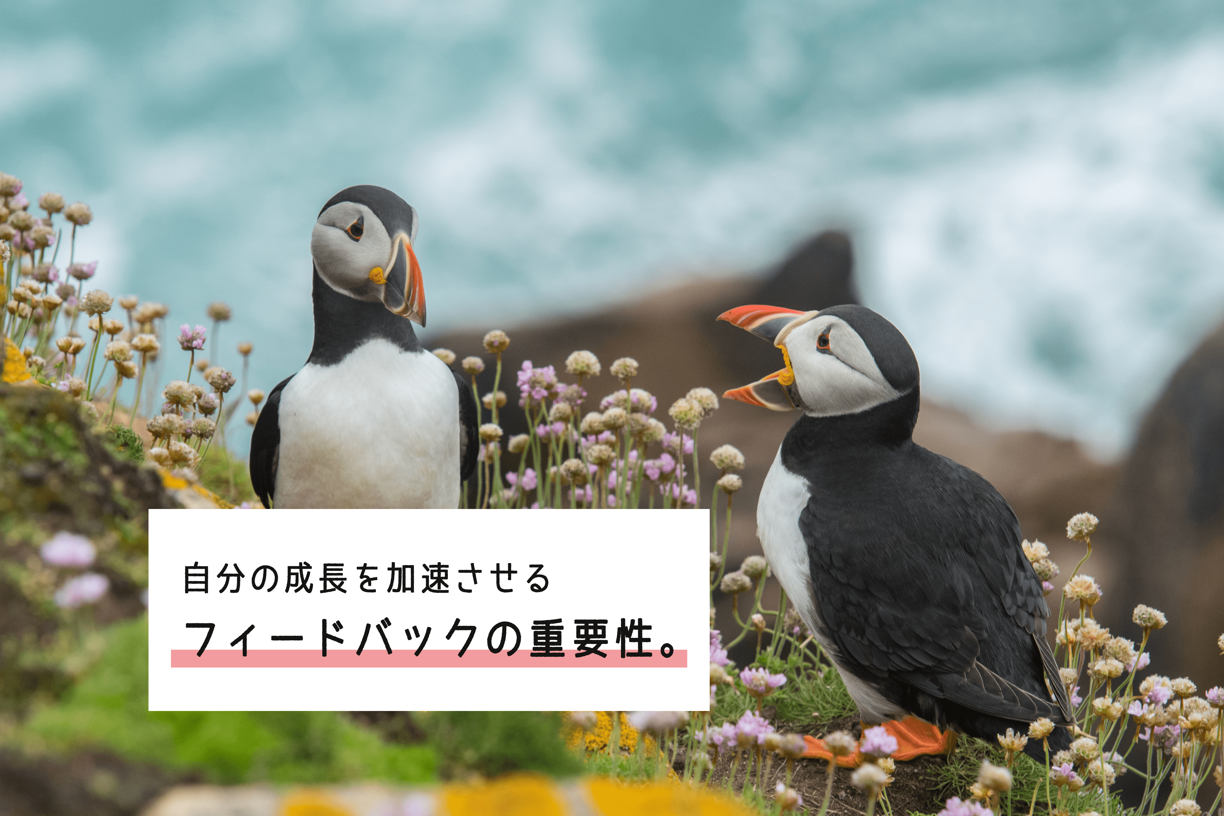 【思考法】自分の成長を加速させる『フィードバック』の重要性をお話しします！