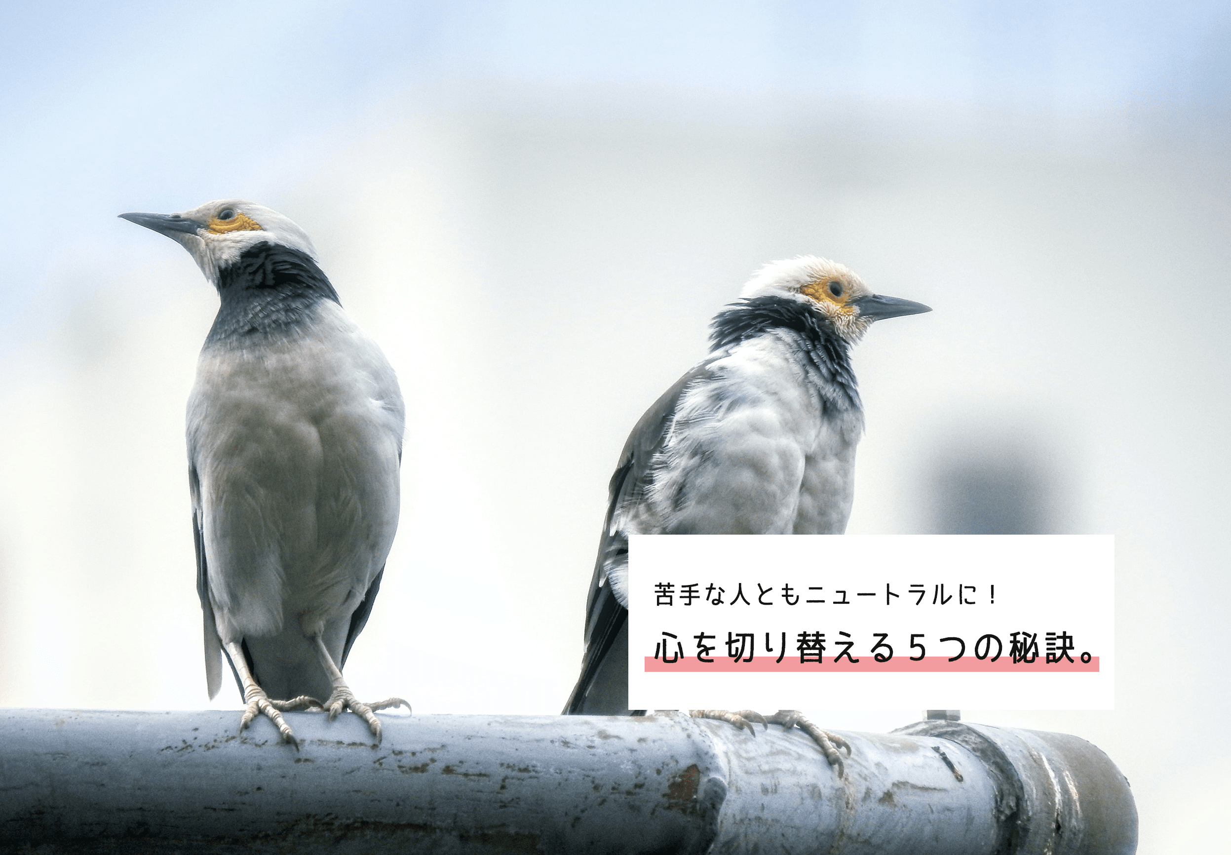 【思考法】苦手な人が現れたら…。捉え方を変えてニュートラルに接するための５つの秘訣。